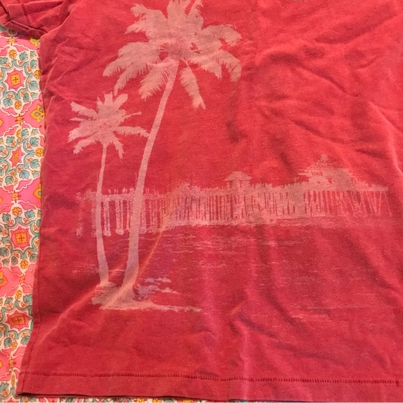 Hollister Malibu Tropical Graphic Brushed Cotton Muted Red Short Sleeve T-Shirt - Picture 7 of 11